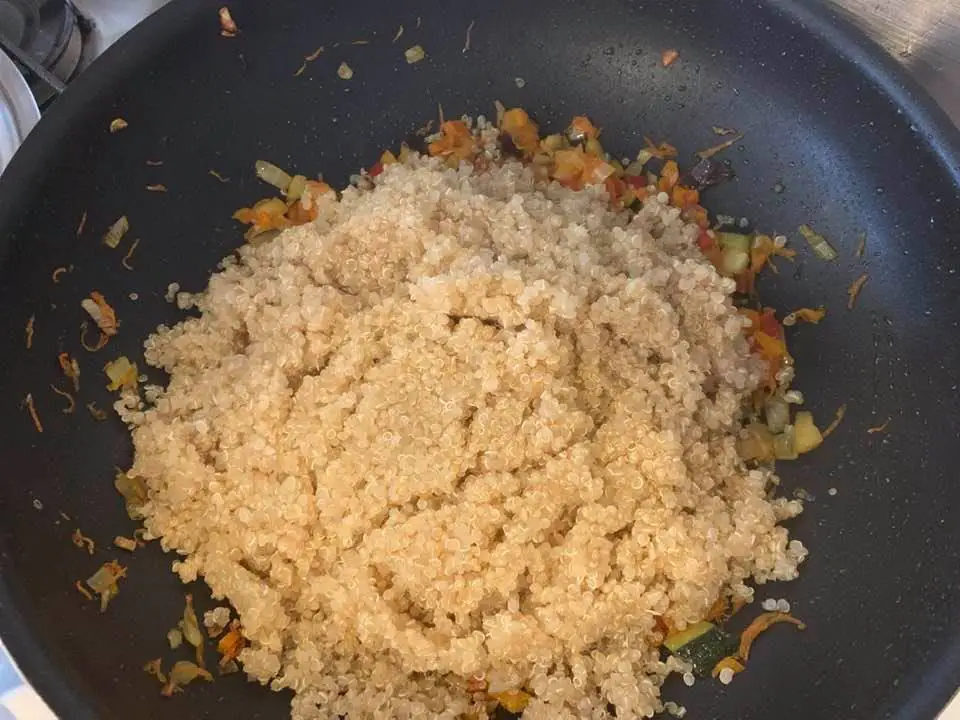 adaugam quinoa adaugam quinoa