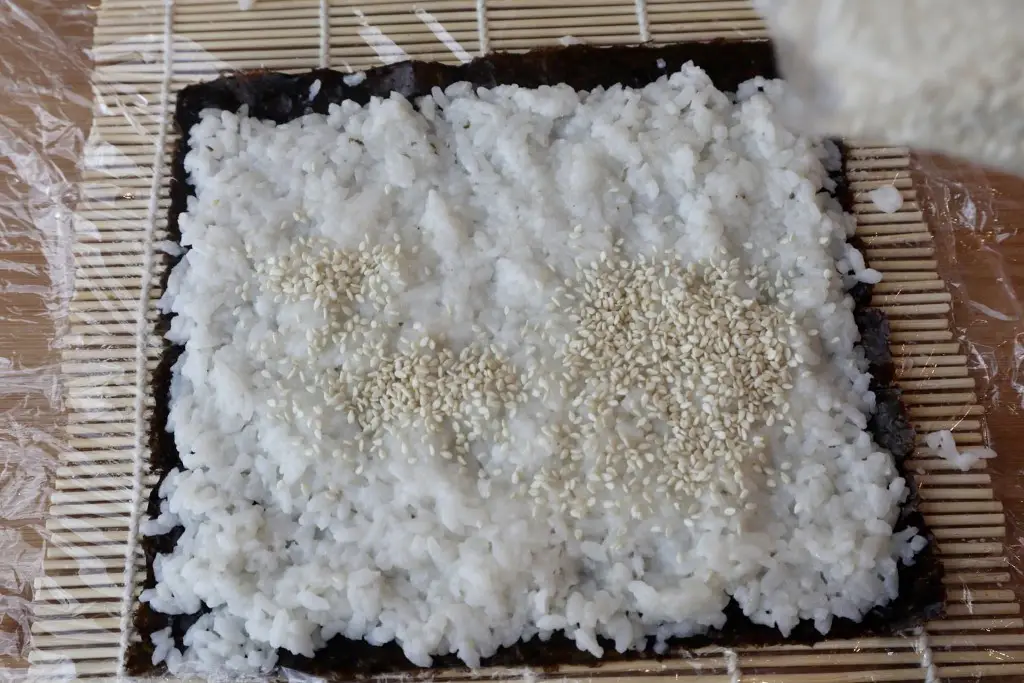 0EAA53AC-B76C-49DE-8380-684376235295 Sushi – maki, uramaki, nigiri