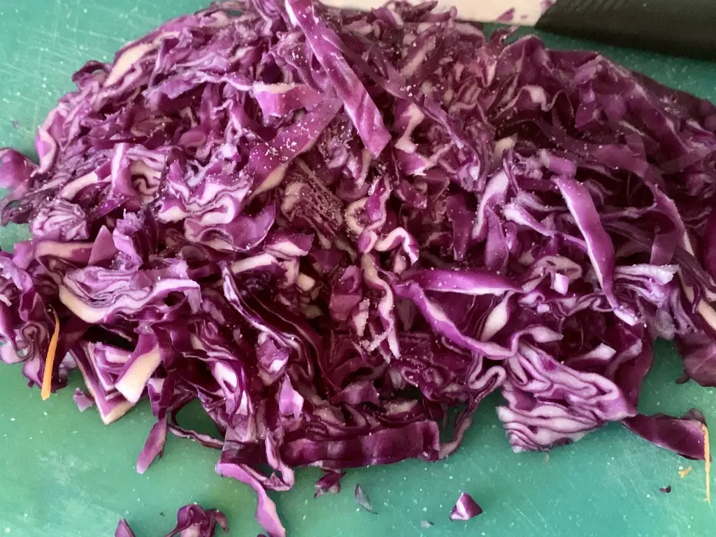 4691FB4D-EA44-4D90-BAE7-1158723BA5F5 Gasca pe varza rosie la slow cooker