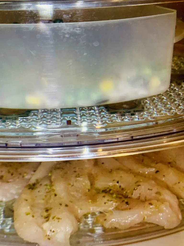 64B1586B-FD6E-429E-BBB1-D6CB4E97D272 Piept de pui cu legume si orez la steamer