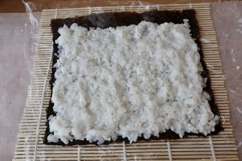E8167E44-EA2A-474B-94E5-EE425C3B1562 Sushi – maki, uramaki, nigiri