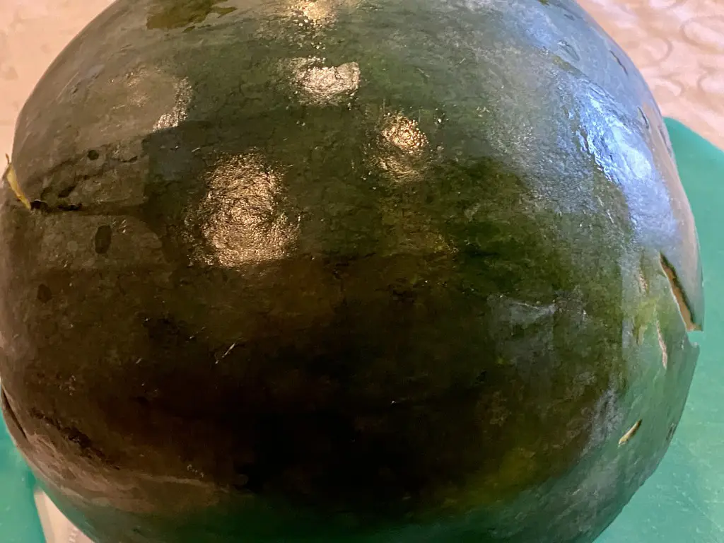8C0CABC6-188A-4C14-A6C9-0B5F276909B4 Dulceata din miez de pepene verde