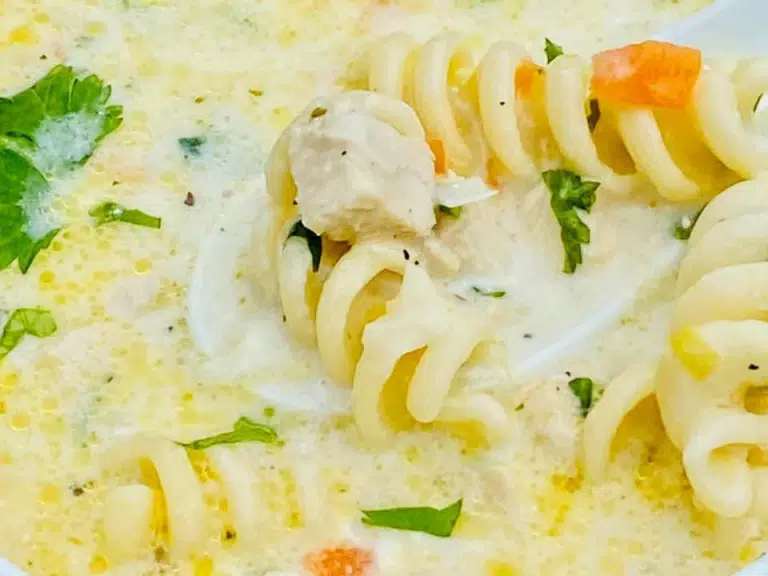 Supa cremoasa cu piept de pui si paste fusilli