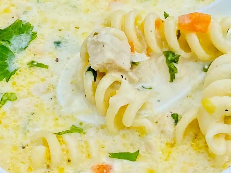 Supa cremoasa cu piept de pui si paste fusilli