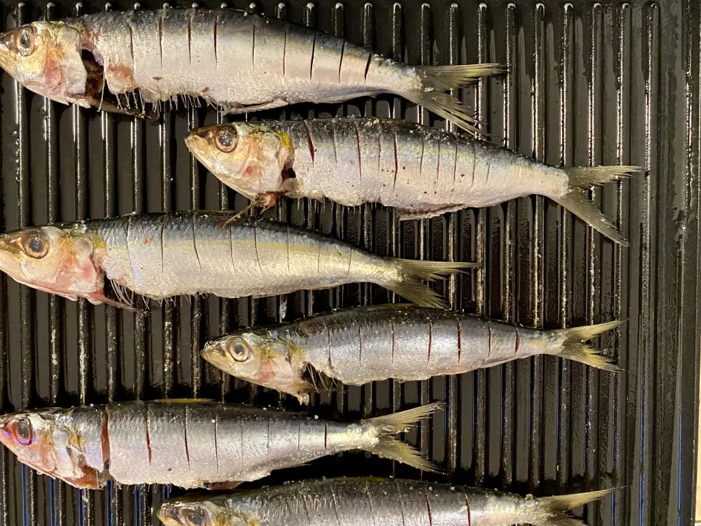 3399FADE-87F1-4B7F-84F0-EAF3A579F21F Sardine la grill cu sos Gremolata si mamaliguta