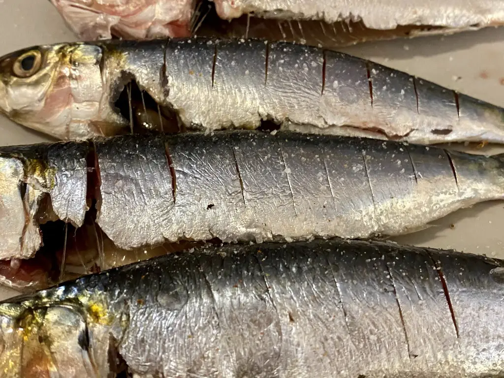 4AAC7DB1-6BE7-4CF9-89A5-7BE269315E3B Sardine la grill cu sos Gremolata si mamaliguta