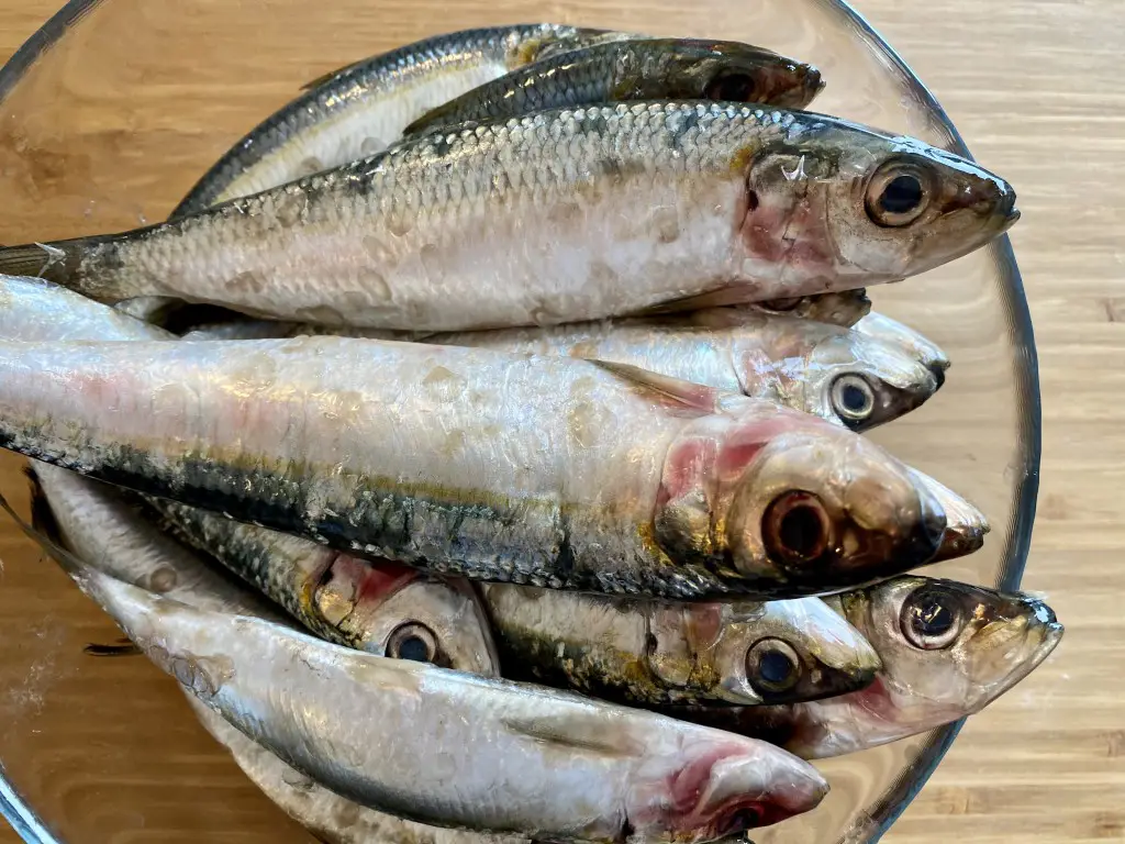 B9E82348-DF22-4660-BD50-40A5198FEA1E Sardine la grill cu sos Gremolata si mamaliguta