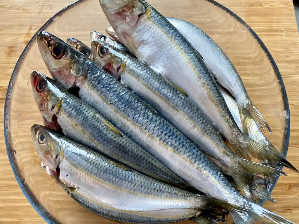 D765D726-461B-4DF2-A89F-255759813D58 Sardine la grill cu sos Gremolata si mamaliguta