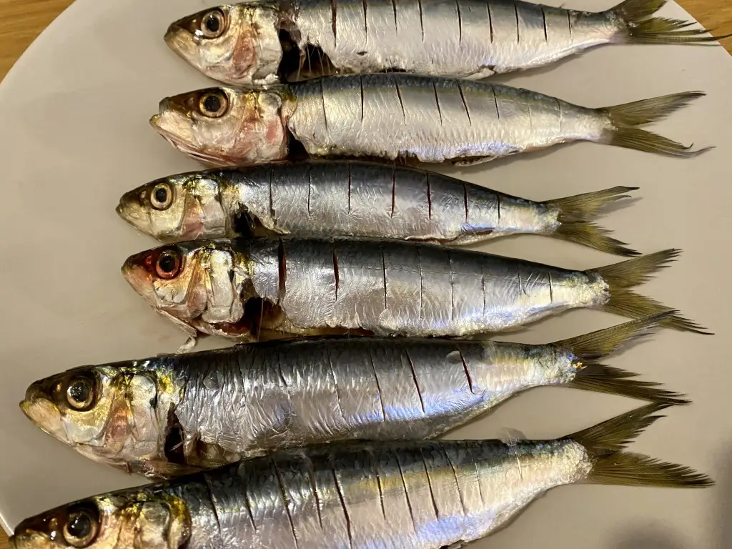 ED4CE808-57A3-4EC6-A995-4FCA90776283 Sardine la grill cu sos Gremolata si mamaliguta