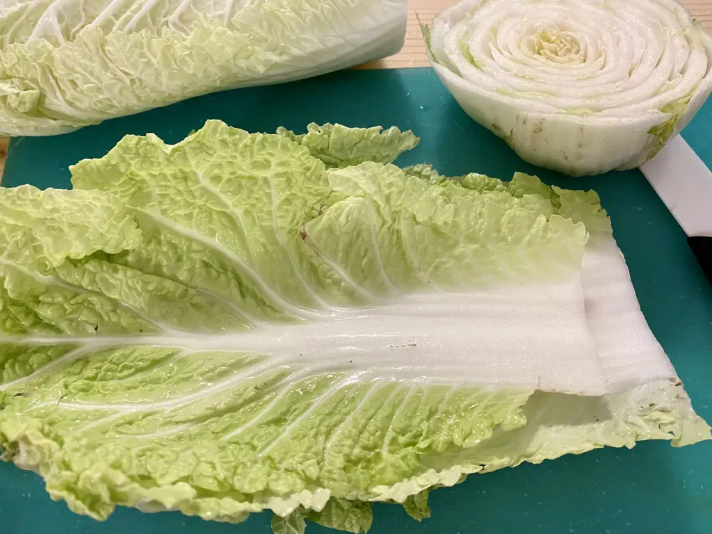 FA8EE7A4-A1EB-4D10-A413-310146F6F722 Sarmalute in foi de varza chinezeasca – pane (prajite in ulei vegetal)