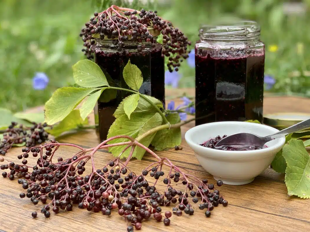 Dulceata din fructe de soc