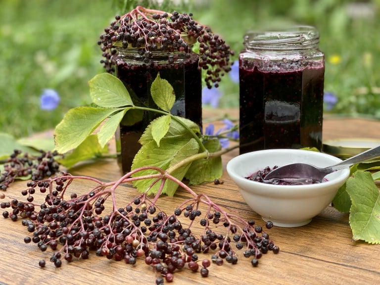 Dulceata din fructe de soc