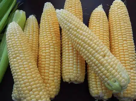 B59D3A8E-1C18-418A-96B8-F0366EF1A4C0 Elote – porumb la gratar- in stil mexican (Mexican street corn)