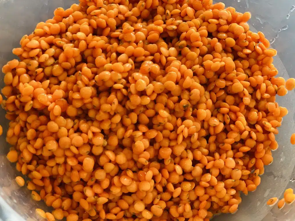 BF95D389-F79A-4ECB-BBA4-B2CA0C616913 Supa crema de linte rosie cu crutoane din mozzarella