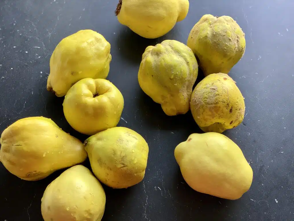 3E509DB1-A137-4D3C-B6E4-DA5748B0F602 Dulceata din gutui razuite