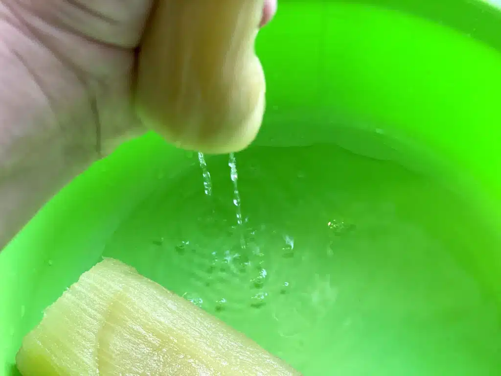835C73F4-A7D1-41F0-B73C-36F4ADE85972 Dulceata de vinete mari