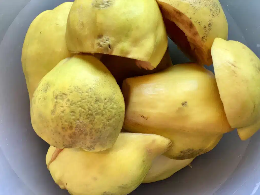 F57C6C7B-D55F-4A41-ADB6-CD513E523188 Dulceata din gutui razuite