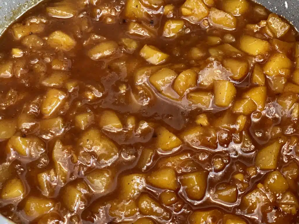 1706FA09-96AB-4891-9A41-FD661E2F6C73 Chutney de mango