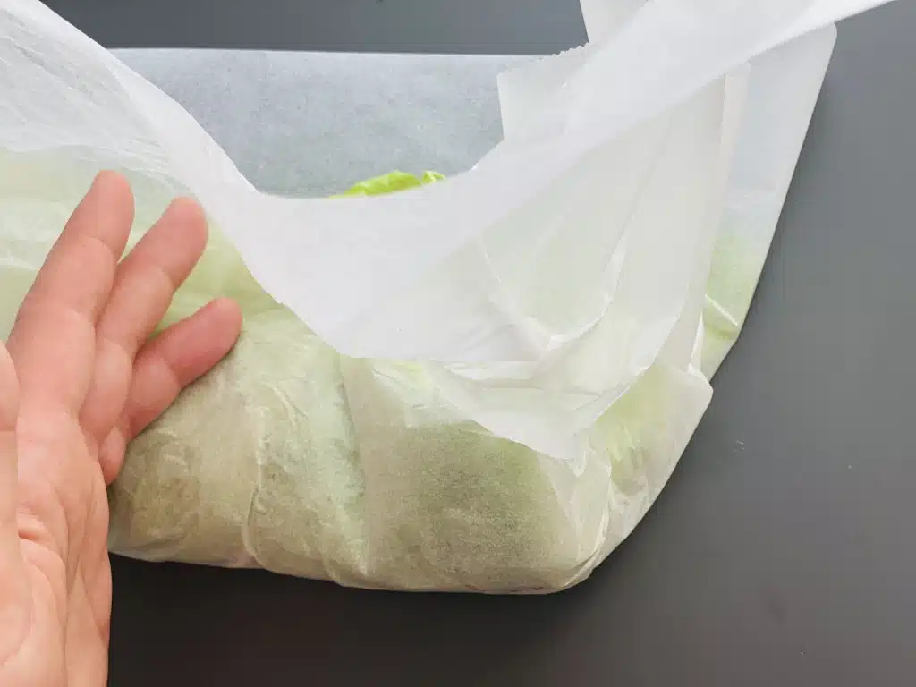 1BC25145-71EA-4F76-98E6-8E275DBA14BE Sandwich cu salata verde