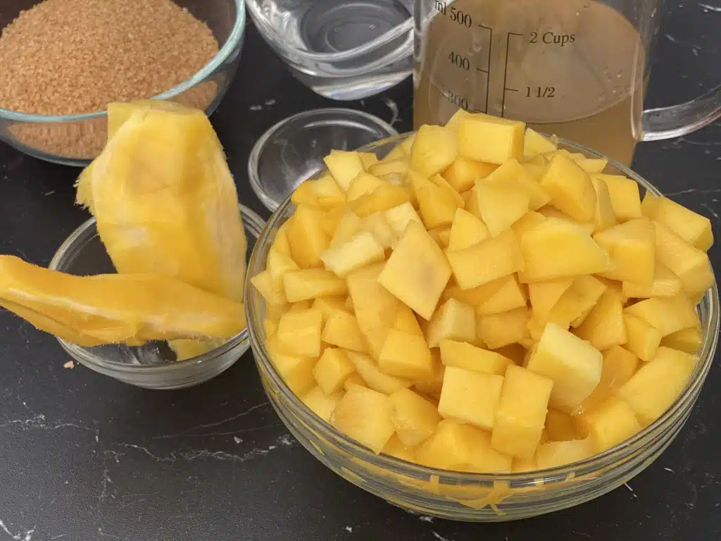 9C9DC364-CFF3-4F2F-8AB3-D169EBA72BA4 Chutney de mango