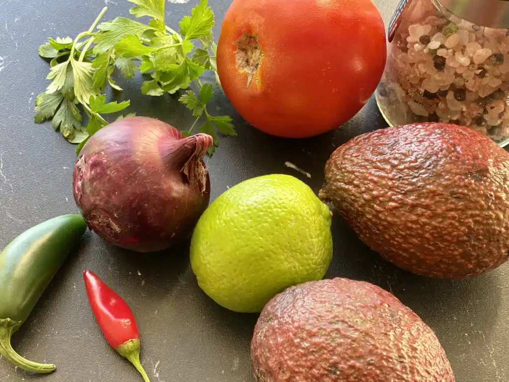 D8D05DB5-04E9-41DF-A0DF-AB58AB15E87E Guacamole