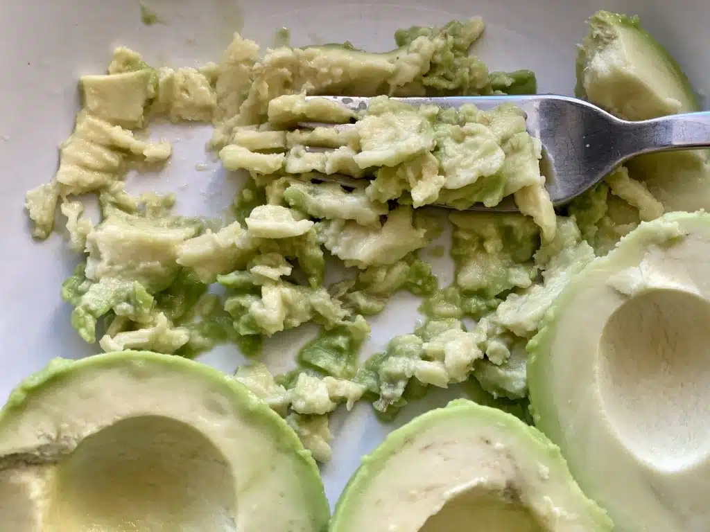 E0BB47E4-7D02-41D0-805A-5D4E4C4D14DE Guacamole