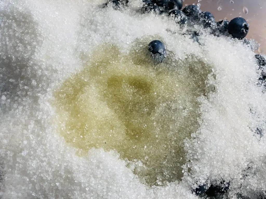 03406B35-6EDA-4A55-AD3B-9A98F4E14D66 Dulceata de afine