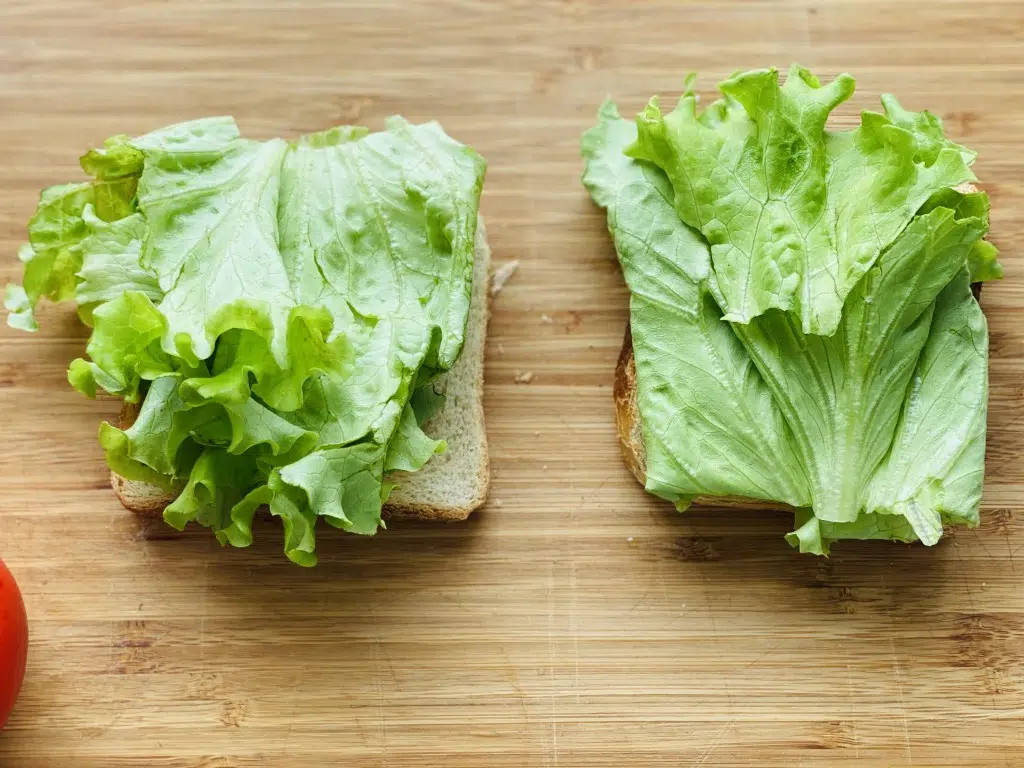 D4BAE0E3-564A-4289-9DCC-F4840F0E8A04 Sandwich BLT – Bacon, Lettuce, Tomato)