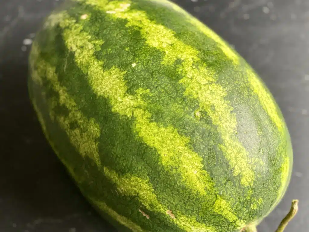 8485E259-638E-4095-B436-24C2C69FD87C Dulceata din coaja de pepene verde