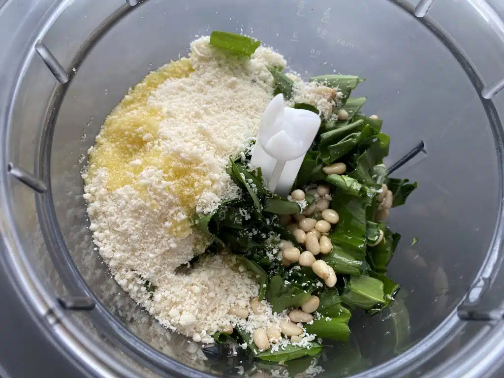 561A3EAF-5AA0-422D-9CB5-2161C99A79D2 Pesto de leurda (usturoi salbatic)