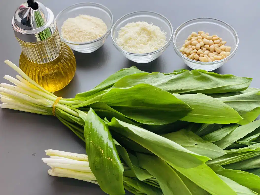 6A166312-2458-461E-A65B-868FE25F3C7C Pesto de leurda (usturoi salbatic)