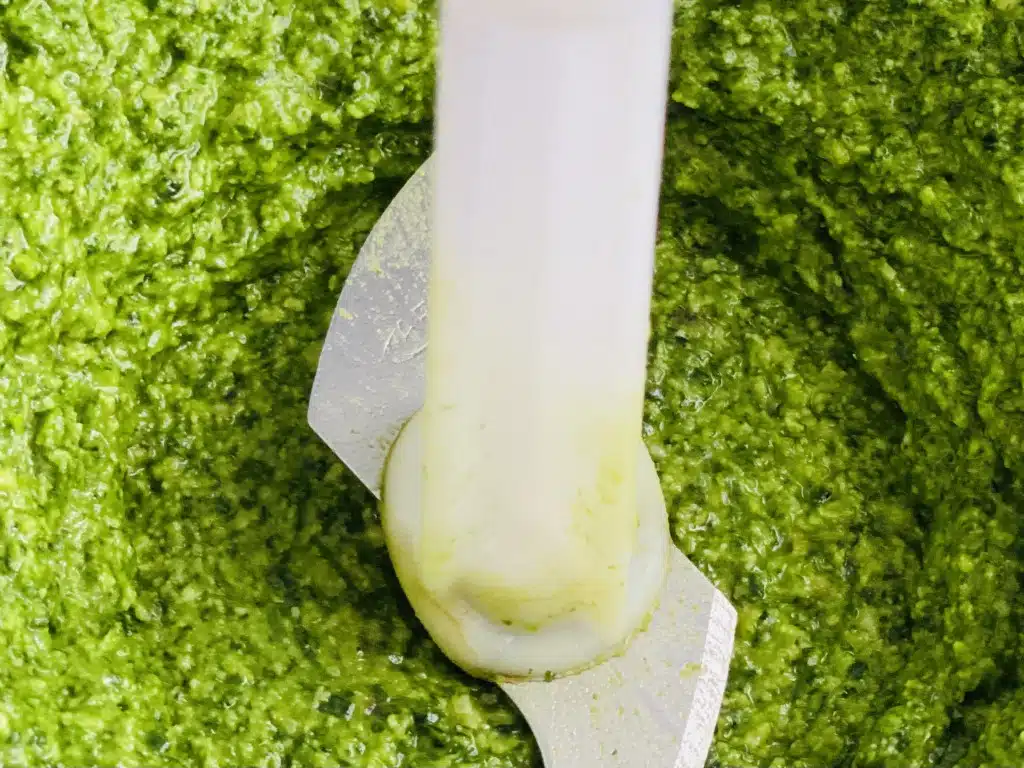 6DFA59B1-ED77-4BA1-88DB-9A9BC1065BD5 Pesto de patrunjel